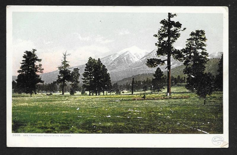 Distant View San Francisco Mts from Arizona Unused c1910s