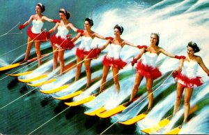 Florida Cypress Gardens Beautiful Aquamaids