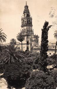 BR57238 Patio de los naranjos y torre de la mezquita Cordoba   Spain