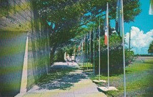 Florida St Petersburg Avenue Of Flags Fort De Soto Park