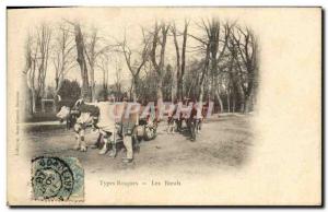 Old Postcard Folklore Basque Types The oxen