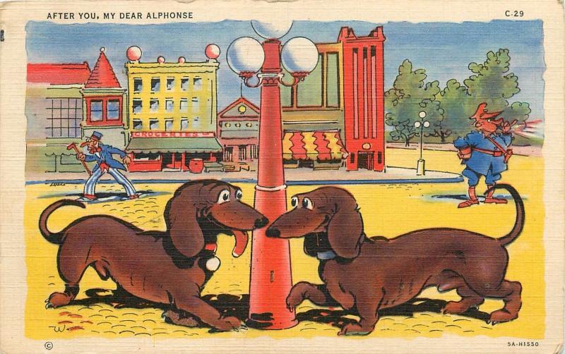 1942 AFTER YOU, MY DEAR ALPHONSE. two dachshunds DOGS POSTCARD