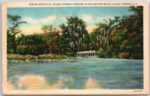 Seeing Beautiful Silver Spring Glass Bottom Boat Silver Springs Florida Postcard