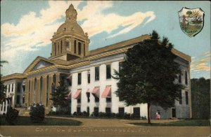 Tallahassee Florida FL Capitol Embossed 1900s-1910s Postcard