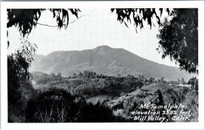 MT. TAMAILPAIS, California  CA   Elevation 2592 Ft.   Marin County  Postcard
