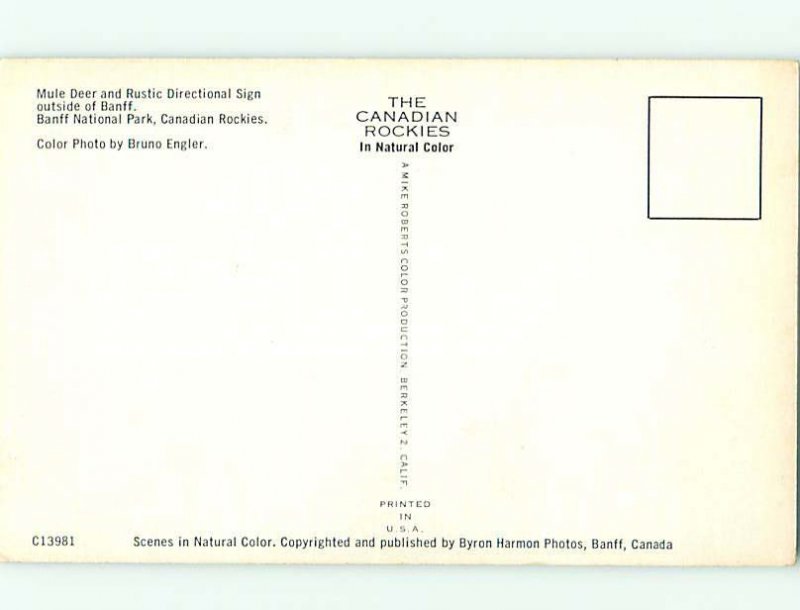 Pre-1980 VINTAGE SIGN ON POSTCARD Banff National Park Alberta AB AD3772