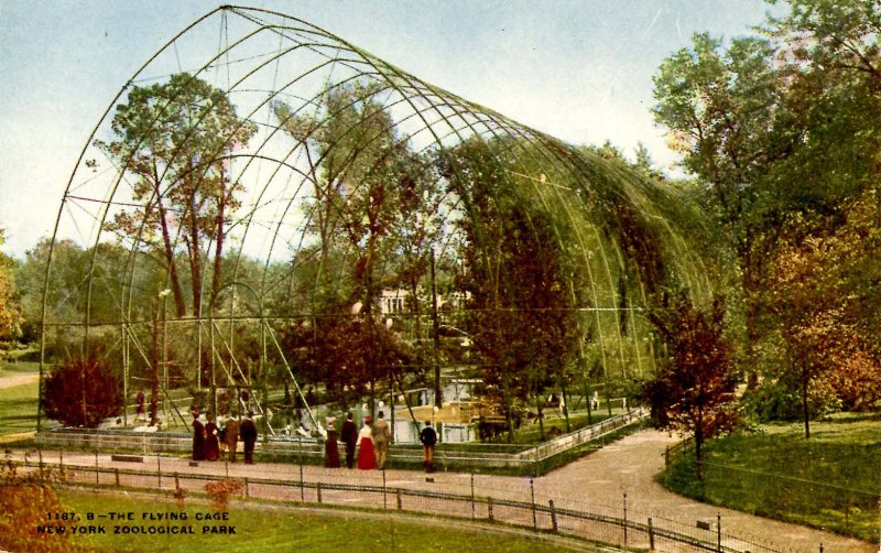 NY - New York City. Zoological Park, The Flying Cage