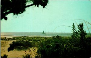 Greetings from Cape Henlopen Lighthouse Delaware DE Chrome Postcard A9