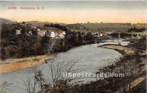 Birds Eye View - Neversink, New York