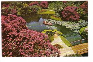 Tourist Boat, Azaleas, Cypress Gardens, Florida,