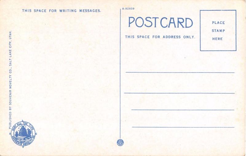 SALT LAKE CITY UTAH~CATHEDRAL OF THE MADELEINE CATHEDRAL CHURCH POSTCARD 1910s