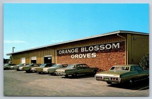 Orange Blossom Groves, Seminole (Largo), Florida, Vintage Chrome Postcard