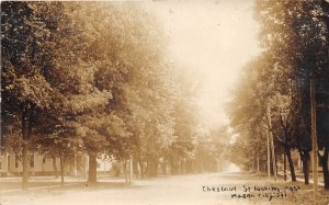 Mason City Iowa~Chestnut Street Looking East~Residential Area~1907 RPPC