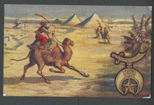 1908 PPC* CAMEL RACLNG ACROSS DESSERT PYRAMIDS IN BACKGROUND EGYPT? MAILED IN US