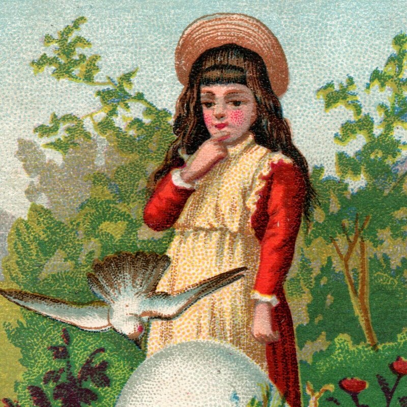 1870s 1880s Girl Doves Egg German Sweet Music Dealer Perry New York Trade Card