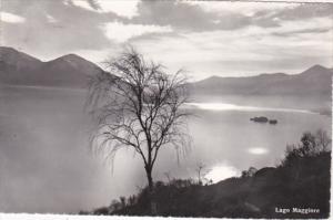 Switzerland Lago Maggiore Photo