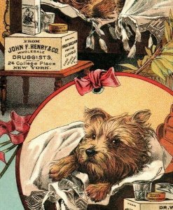 1871 Henry's Carbolic Salve John F Henry & Co. Adorable Dog Sick In Bed 7N