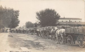 J27/ Olathe Colorado RPPC Postcard c1910 Beet Train Wagons Horses  143