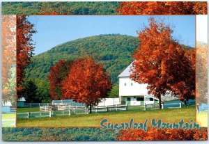 Rich farmland, w/ its blazing autumn colors, Sugarloaf Mountain - Frederick, MD