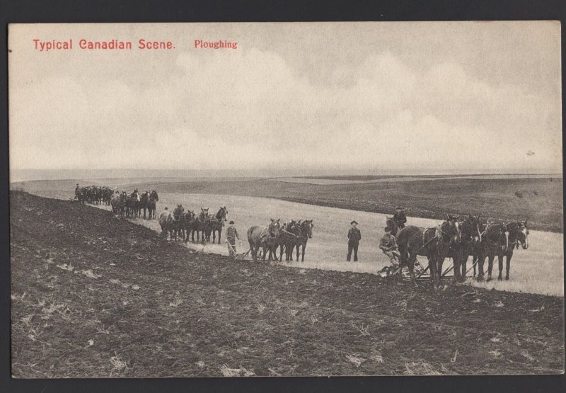Canada Typical Canadian Scene - Ploughing Pub by Illustrated Post Card Co. ~ DB