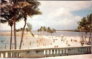 Postcard BEACH SCENE Miami Florida FL AO1380