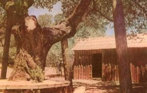 CA - Calaveras, Mark Twain's Cabin