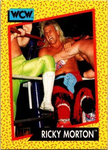 1991 WCW Wrestling Ricky Morton sk2116