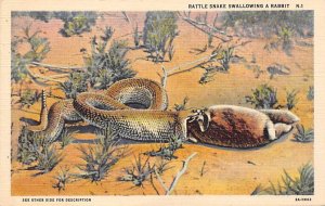 Rattle Snake Reptile Unused 