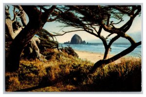 Vintage Postcard OR Oregon Pacific Seacoast