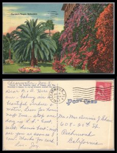 ABRO US 1953 Card Florida's Tropic Splendors  Clearwater /Richmond Ca.