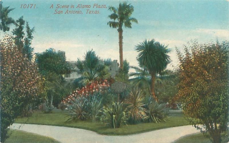 San Antonio Texas Scene in Alamo Plaza  Litho  Postcard, Unused
