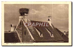 Old Postcard Alsace Storks nest
