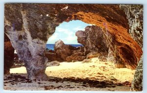 Natural Arches BERMUDA Beach Postcard