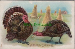 Embossed Greetings Postcard - Turkeys, A Merry Christmas  Ref.RS33580