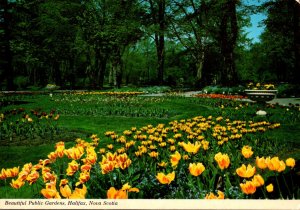 Canada Nova Scotia Halifax Public Gardens