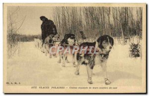 Old Postcard Dog Dogs For Dogs polar ice breeches of their leather shoes