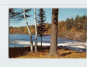 Postcard Nature Scenery Kenora Ontario Canada