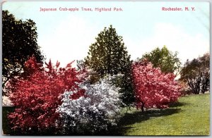 Japanese Crab-Apple Trees Highland Park Rochester New York NY Postcard