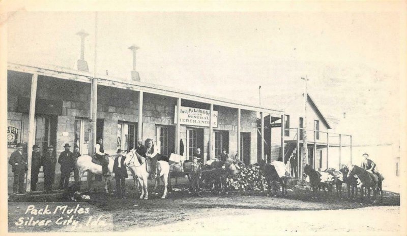 Pack Mules SILVER CITY Idaho Hotel, General Store ca 1920s? Vintage Postcard