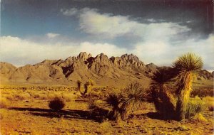 Beautiful Organ Mountains Las Cruces, New Mexico NM