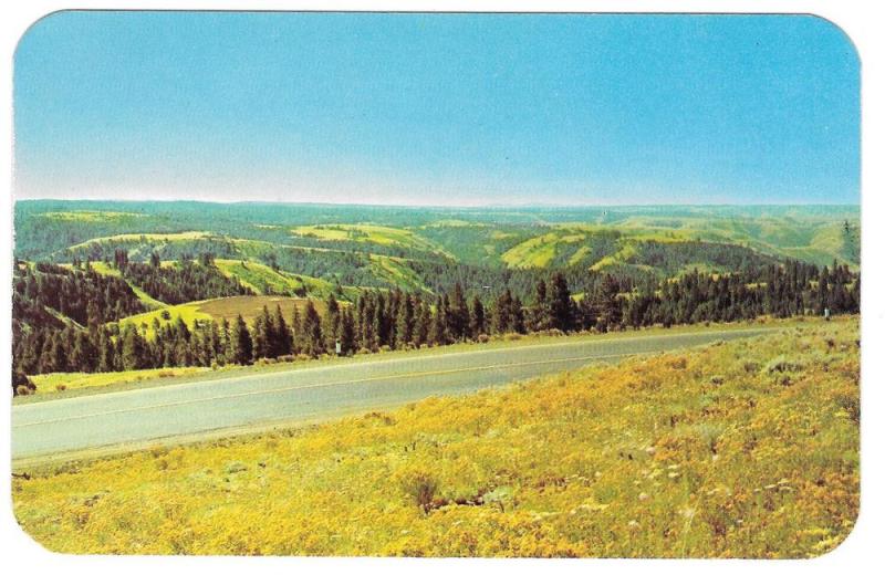 Eastern Oregon Blue Mountains Hwy 30 Deadman Pass Postcard