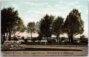 VINTAGE POSTCARD VIEW SALEM WILLOWS AND SALEM WILLOWS PARK BEVERLY MASSACHUSETTS