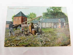 Circa 1910 Early Scene Grinding & Boiling Sugarcane, Moonshine? Leipzig P30