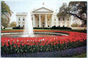 Postcard - North Lawn of the White House - Washington, District of Columbia