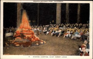 Sequoia National Park California CA Campfire Bonfire Vintage Postcard