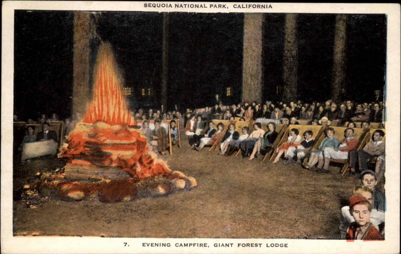 Sequoia National Park California CA Campfire Bonfire Vintage Postcard