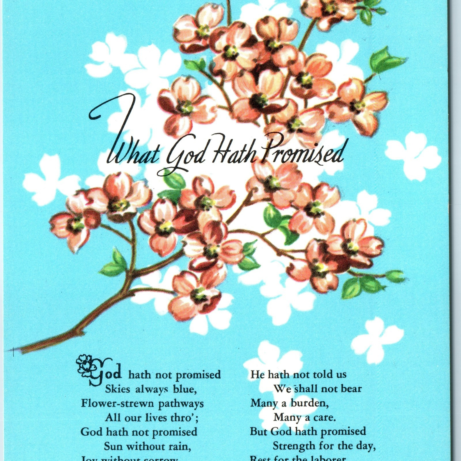 c1970s Christian "What God Hath Promised" Poem Postcard Faith Jesus God ...