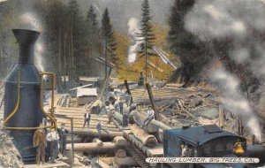 Big Trees California Hauling Lumber Train Engine Vintage Postcard AA33131