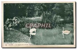 Old Postcard Lucon Dumaine Garden Swans