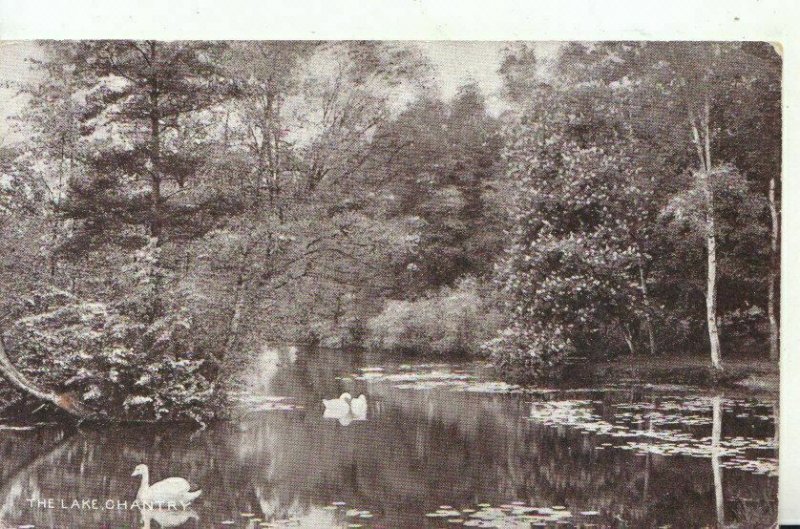 Somerset? Postcard - The Lake - Chantry - Ref 12572A